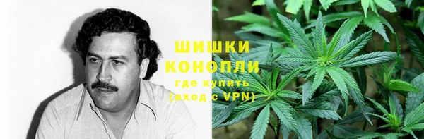 стаф Семикаракорск