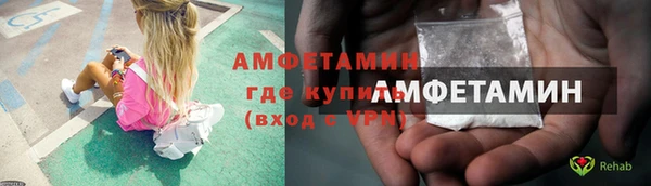 прущая мука Вяземский