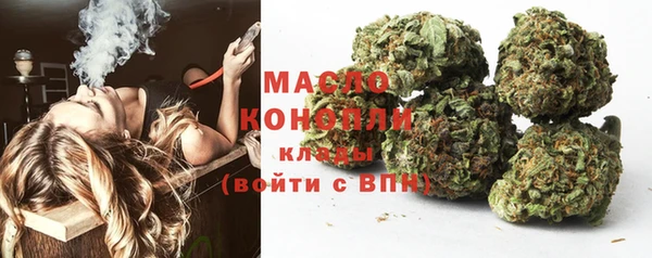 прущая мука Вяземский