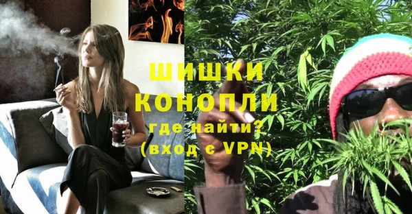 прущая мука Вяземский
